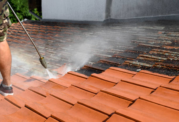 Roof Power Washing Services in Fredonia, WI
