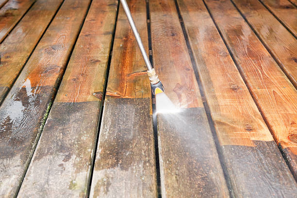 Best Roof Pressure Washing  in Fredonia, WI